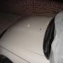 DSC02563.JPG