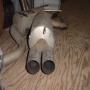 DSC05901.JPG