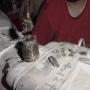 DSC01836.JPG