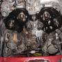 DSC05214.JPG
