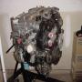DSC00654.JPG