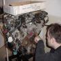 DSC00664.JPG