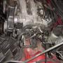 DSC00987.JPG