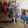 DSC01371.JPG