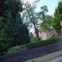 DSC00032.JPG