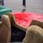 DSC01673.jpg