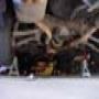 DSC00910.jpg