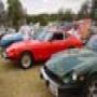 DSC01070.jpg