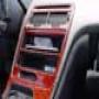 DSC01096.jpg
