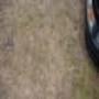 DSC01105.jpg
