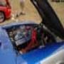DSC01110.jpg