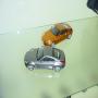 DSC00047.JPG