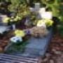 DSC00572.jpg