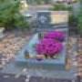 DSC00575.jpg