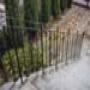 DSC00597.jpg