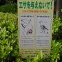 DSC02967.JPG