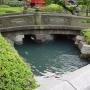 DSC02975.JPG