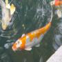 DSC02979.JPG