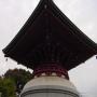 DSC02981.JPG