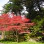 DSC03155.JPG