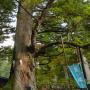DSC03159.JPG