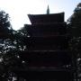 DSC03167.JPG