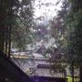 DSC03186.JPG