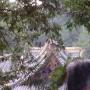 DSC03187.JPG