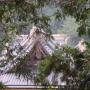 DSC03188.JPG