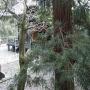DSC03194.JPG