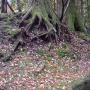 DSC03203.JPG