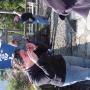 DSC03233.JPG