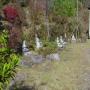 DSC03234.JPG