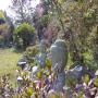 DSC03237.JPG