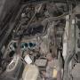 DSC03258.JPG
