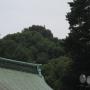 IMG_0869.JPG