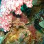 DSC00014.JPG