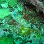 DSC00038.JPG