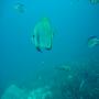 DSC00058.JPG