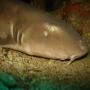DSC00062.JPG