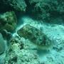 DSC00069.JPG