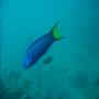 DSC00070.JPG
