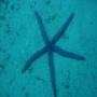 DSC00072.JPG