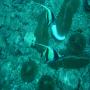 DSC00074.JPG
