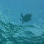 DSC00076.JPG