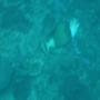 DSC00079.JPG