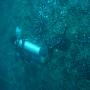 DSC00088.JPG