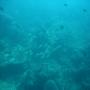 DSC00094.JPG