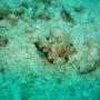 DSC00099.JPG