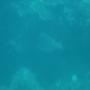 DSC00100.JPG